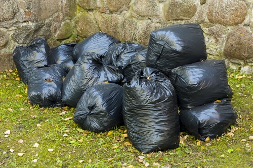 Professional team removing garden waste in Blackheath